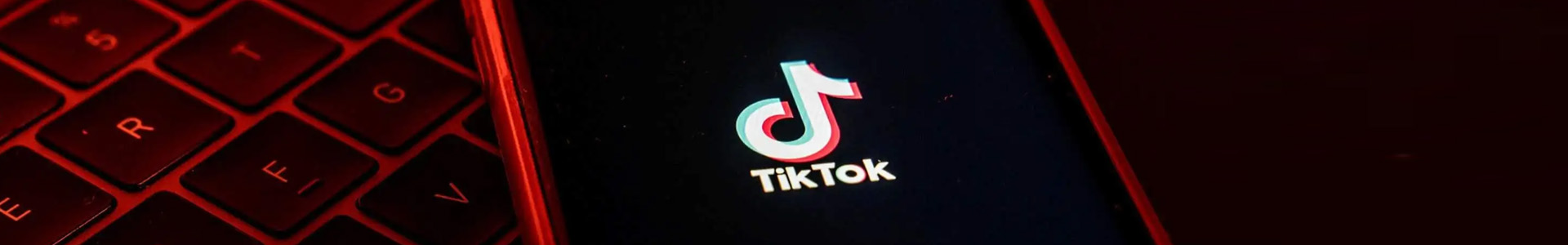 外贸独立站开发Tiktok推广  第2张