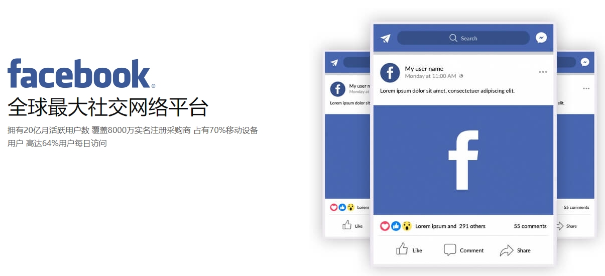 外贸独立站开发海外社交媒体营销  第1张